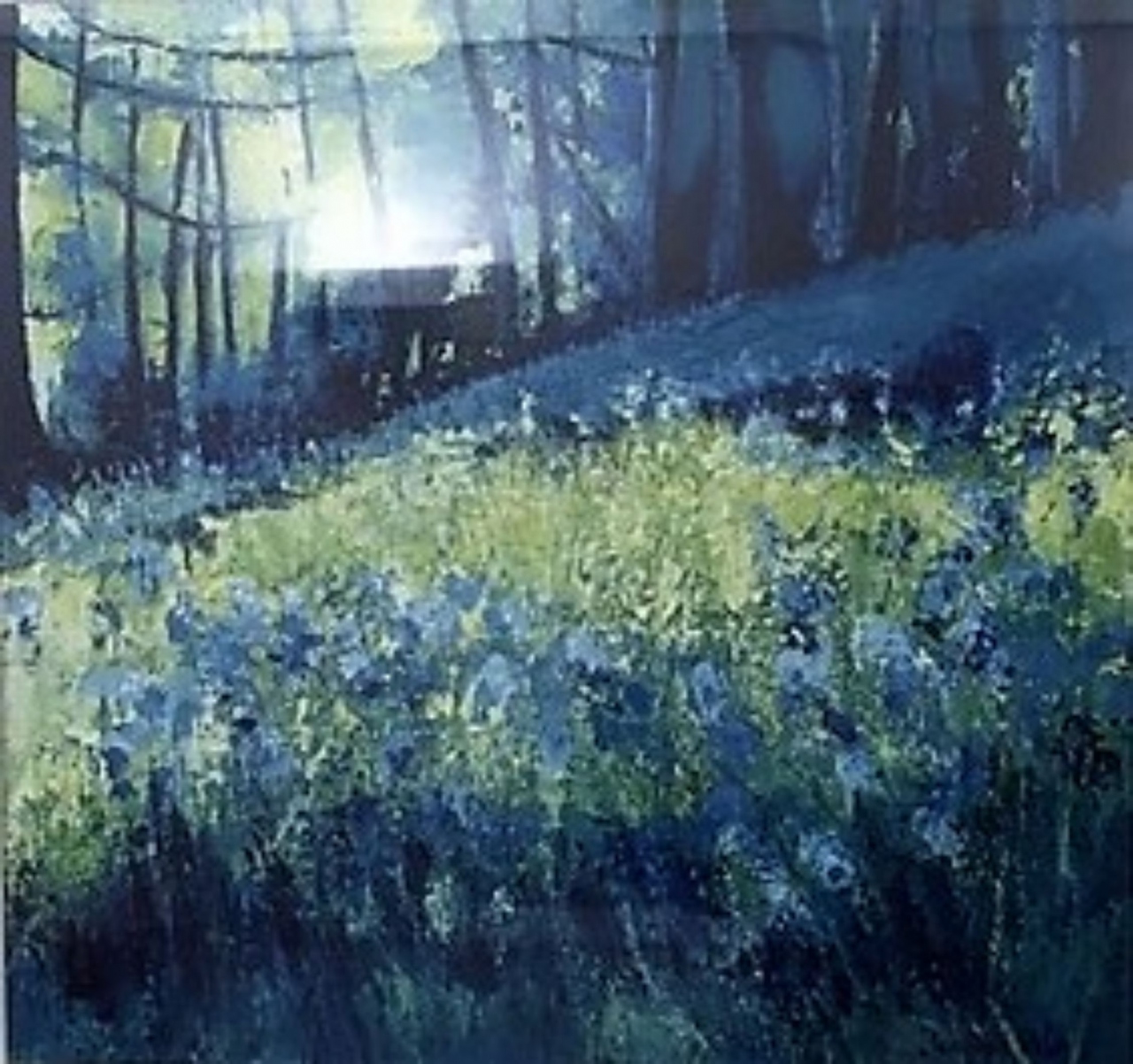 Picture of Bluebell Woods, Balmerino by Jennifer Reid