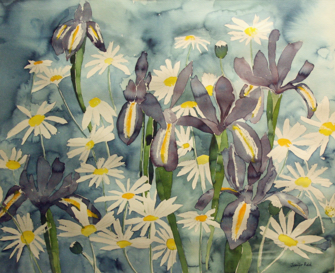 Picture of Irises and Daisies by Jennifer Reid