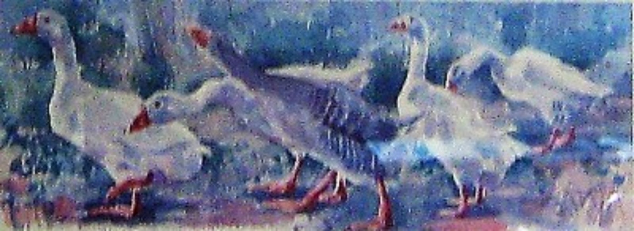 Picture of Goose-step by Mary Ann Rogers