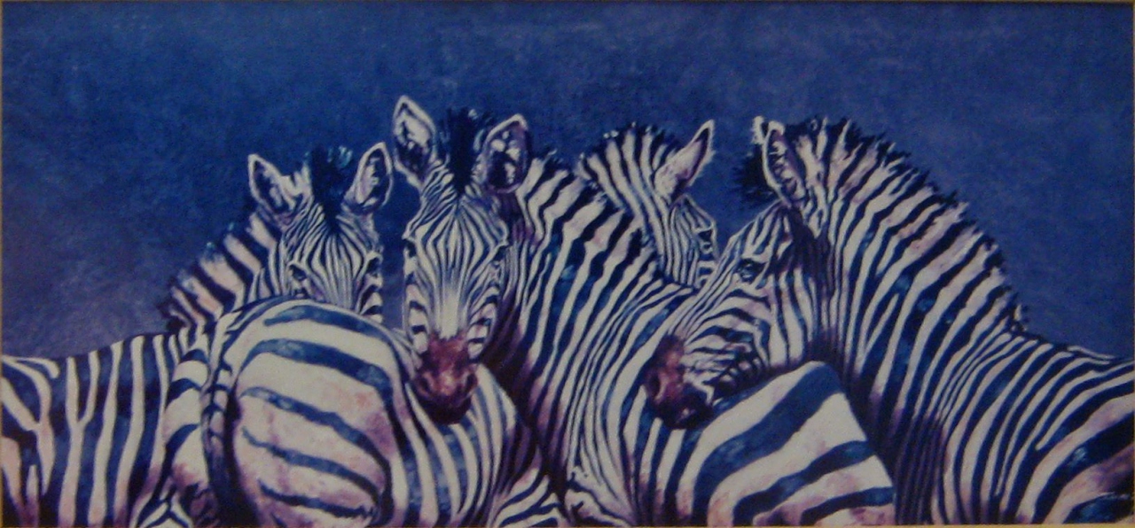 Picture of Four Zebras by Ian Van Zyc