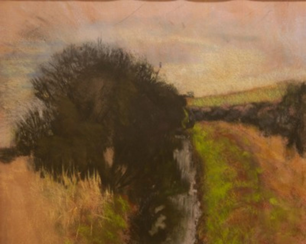 Picture of Irrigation Ditch by Aaron Schuerr