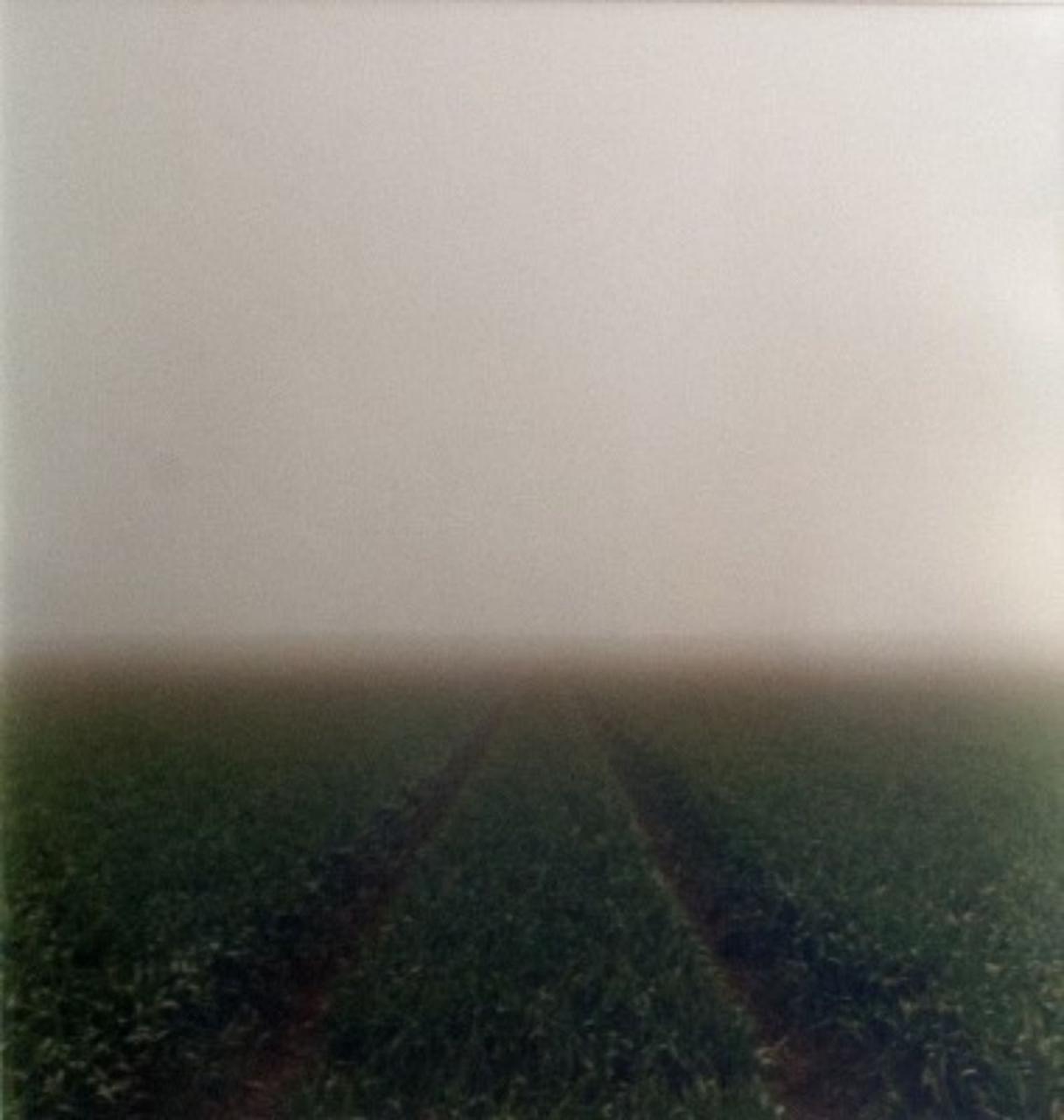 Picture of Path 98 by Iain Stewart