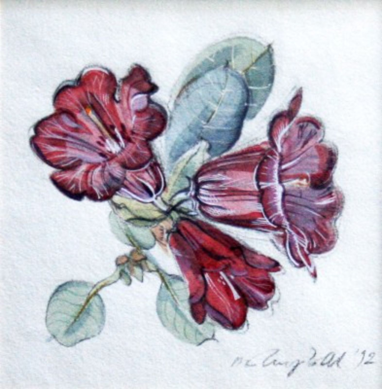 Picture of Rhododendron Forestii - Red by Marjorie I Campbell