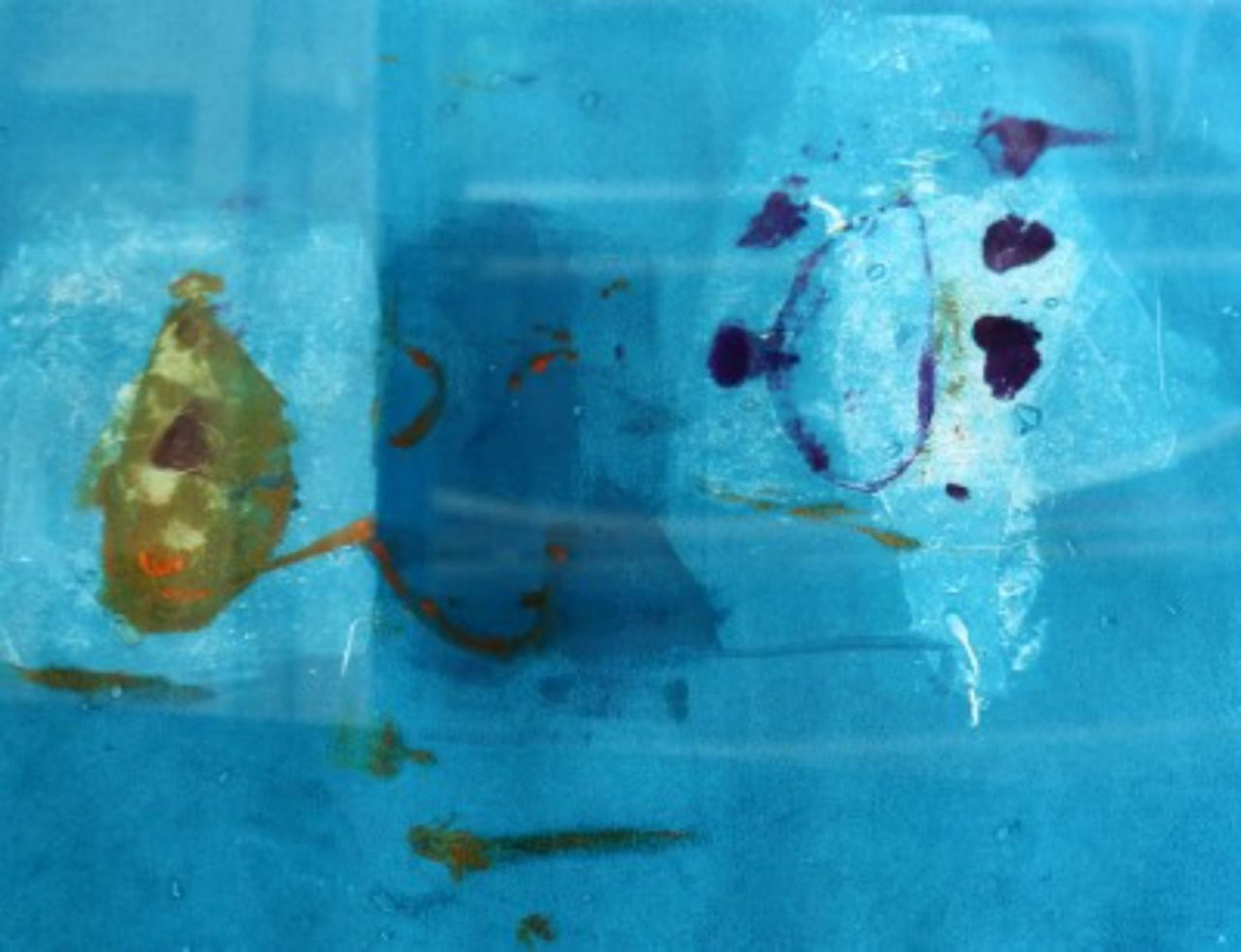 Picture of Fragment/Growing by Susan Gierasik