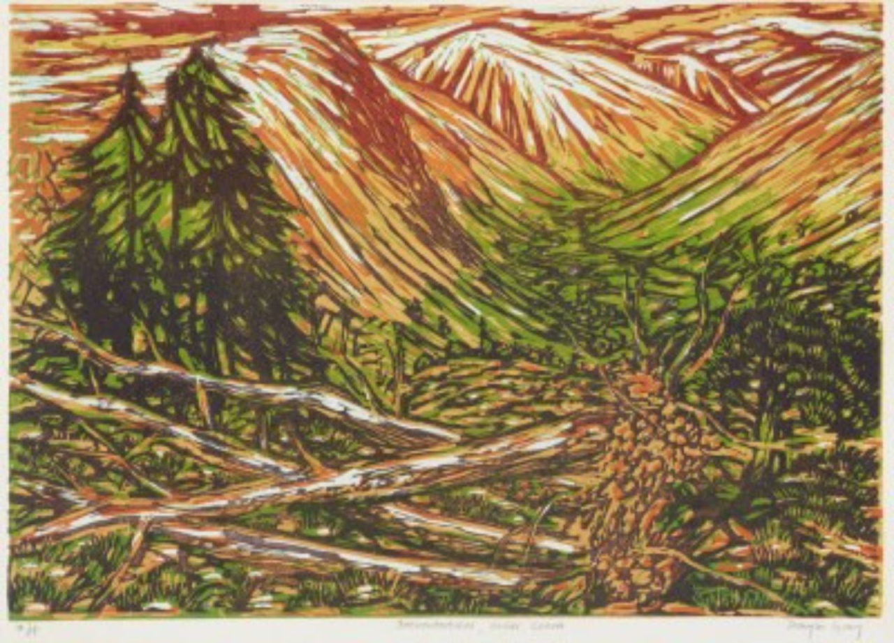 Picture of Bachnairnagairn, Glen Clova by Douglas Gray