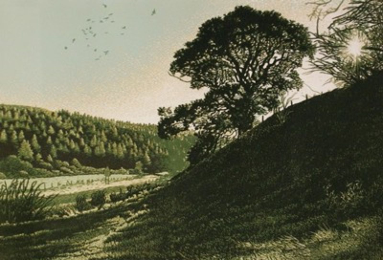 Picture of Light and Landscape by Tom Davidson