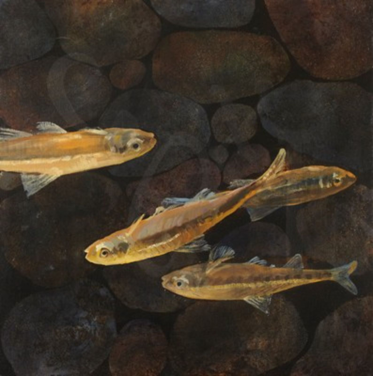 Picture of Fish: Christ God's Son Saviour by Graeme Booth