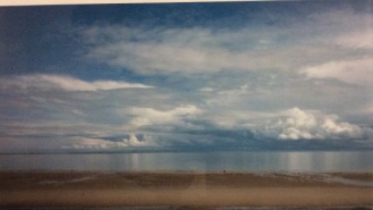 Picture of The Shore by Fiona Williamson