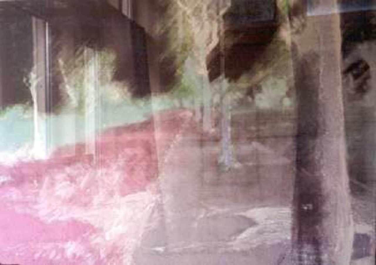 Picture of Trees by Sasha Marran